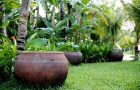 Decor sân vườn nhỏ tuyệt đẹp với chậu cây gốm