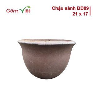 chau-sanh-bd89